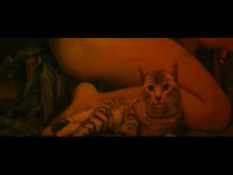 "Catwoman"-- Opening Titles