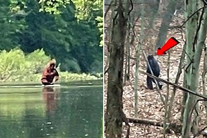 Five best 'Bigfoot sightings of last 10 years that PROVE beast exists'