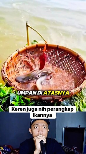 Simple fish trap #info #rels #reaction | Saiful Ma'ruf