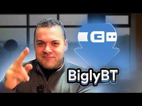 Effortless Torrent Management with BiglyBT