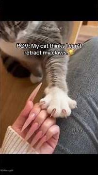 🐈 🥸Cats are the best imitators