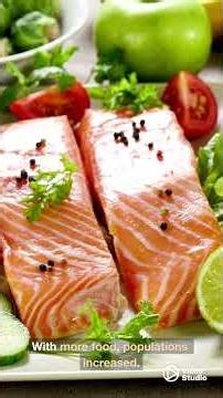 The History of Agriculture: From Prehistoric Times To Modern Farming #agriculture #history #science