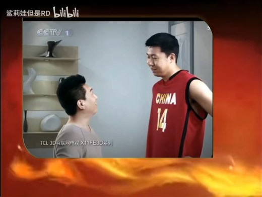 凤凰卫视TCL地球宣言赞助商（2010）