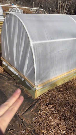 767 reactions · 83 shares | DIY Hoop House Tutorial for Raised Beds - Easy and Affordable! Check out our step-by-step guide on building a DIY hoop house over your raised beds! #growfood #growyourfood #growyourownfood #gardening #growingfood #vegetablegarden #vegetable #fromseedtospoon #seedtospoon #growfoodnotlawns #letsgrowsomethinggood #hoophouse | From Seed to Spoon | Facebook