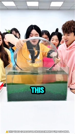 They Played the Gold Orbeez Challenge… But No One Expected What Happened Next 😳💰 This group of friends took on the Gold Orbeez Challenge, where whoever finds the hidden gold wins it all. Everyone got creative—nets, trays, bamboo poles—anything that could help them scoop up the treasure. Each player earned a dollar for every Orbeez they collected, but the real goal was to find the hidden gold. One got $25, another $919, and someone even scored over 5,000 Orbeez! But the suspense grew when they 