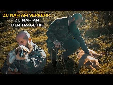Zu nah am Verkehr, zu nah davor, alles zu verlieren
