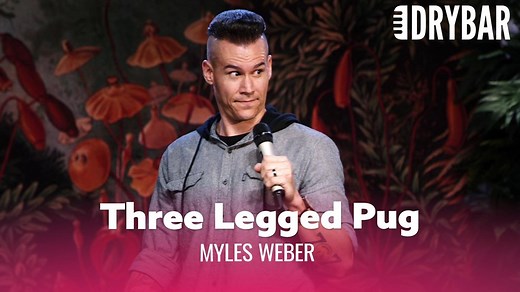 Nothing Is Faster Than A Three Legged Pug. Myles Weber | Dry Bar Comedy