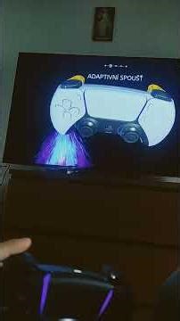 controller view