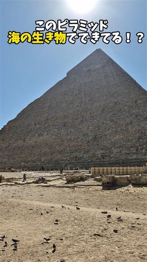 古代人も知らない ピラミッドの素材の正体 #ピラミッド #歴史