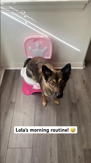 Lola LOVES her Princess Potty!