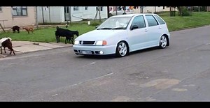 Shimora KSKZN VW Polo Playa Stance | SAMA28 Kasified Passion