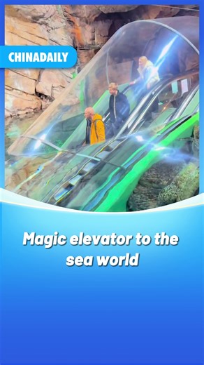 Right next to #Shanghai Oriental Pearl Tower, there's a hidden entrance to the deep sea in Shanghai Ocean #Aquarium. Step onto the escalator and dive into the mysterious underwater world. Waves ripple overhead, colorful fish swirl around, it's like a science fiction novel brought to life! #travel | China Daily