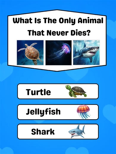 Engaging Animal Quiz for Nature Lovers