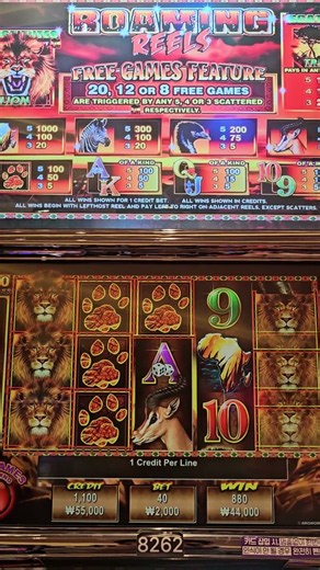 강원랜드 슬롯머신 보너스 #강원랜드 #슬롯머신 #casino #slotmachine
