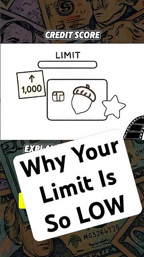 The TRUTH About Credit Scores and Limits