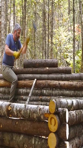 52K views · 463 reactions | Secret Bushcraft Cabin – Building for Survival – Wood Stove Heating FULL VIDEOS IN FIRST COMMENT | Ty Forrest | Facebook