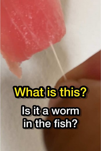 Understanding Worms and Parasites in Sushi and Sashimi