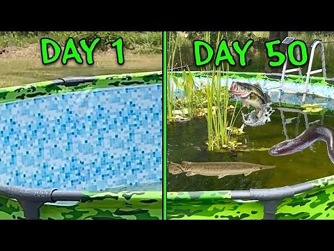 Adding RARE Native Predators To My Pool Pond Ecosystem!