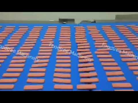 cookie production line from China