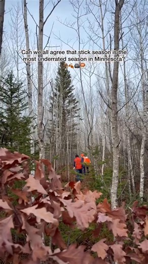 Gosh, I love this time of year! Stick season doesn’t get the love it deserves, especially since it’s that time of the year that stands between a colorful fall, you, and the magic of the holidays. BUT there is SO much to love about this quiet part of November before the snow really starts to fall. Here are 6 things I love about outdoor adventures during stick season: 🪵 Trails quiet down after the peak fall color season 🪵 No bugs! 🪵 For me, it’s the perfect hiking temperature (I can break out m
