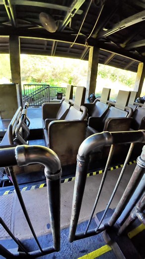 Expedition Everest Adventure at Walt Disney World