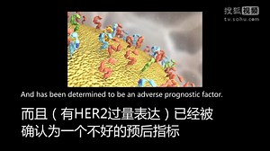 【陈巍翻译】上市的HER2抑制剂的工作原理