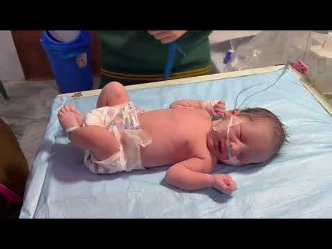 Newborn Baby Receiving & Vital Records | Safe & Professional New Life Care 👶🩺