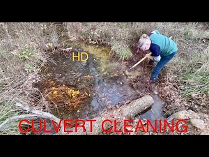 cleaning/unclogging culverts and ditches. plus the heron makes a return. 12/6/22