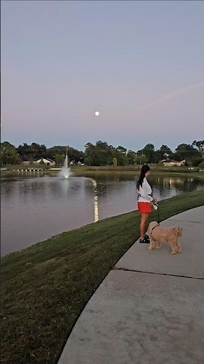 Spring Brook Village - Houston Texas #springbrook #village #houston #texas #usa