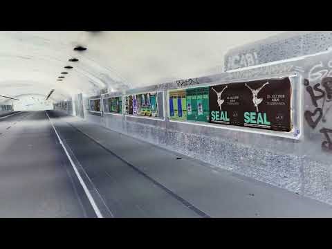 Psyko - Alien Hybrid