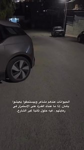 2.1K reactions · 58 shares | Noha Flower on Reels | Facebook