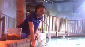 5.6K views | Target Training with the Sharks & Stingrays! 麗麗麗 | SeaQuest Las Vegas | Facebook