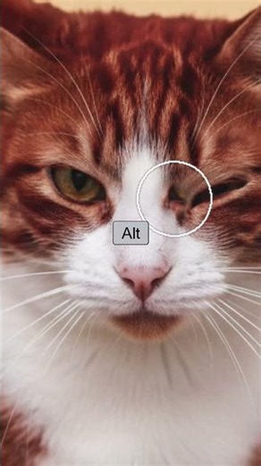 🚀To improve your Photoshop skills, you must master these techniques!