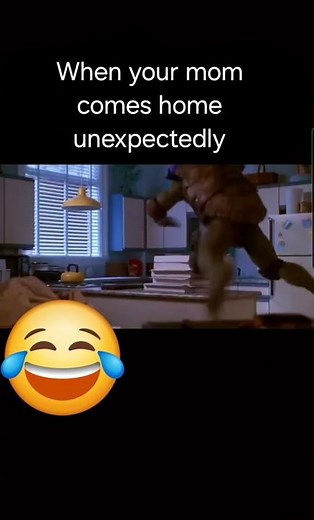 TMNT Stealth Mode Activated! Apartment Scene 🐢