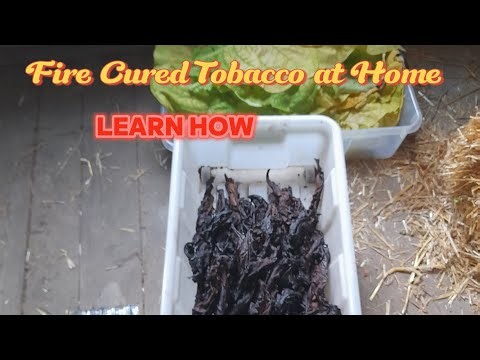 How to Fire Cure Tobacco at Home @TheTobaccoRoom