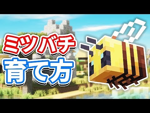 [Minecraft 1.15] Detailed explanation of bee/honeybee ecology, breeding methods, spawn locations,...