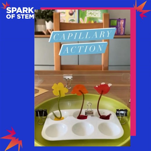 Capillary Action .....in action! Plants and trees couldn't thrive without capillary action. Capillary action helps bring water up into the roots. With the help of adhesion and cohesion, water can work all the way up to the branches and leaves. Follow @kiwico_inc for more ideas like this! Look out for our weekly posts with videos, photos, and other resources that will spark your attention! Follow along and learn more about these amazing content creators that are passionate about STEM. Tag us in y