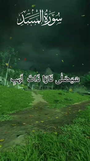 #butiful #tilawatequran #surah al Masad #Tabbatyada