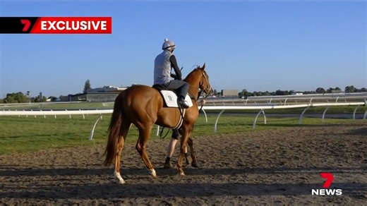 22K views · 95 reactions | EXCLUSIVE: After a freak training accident in March last year, the career of SA horse Watchme Win looked over before it had even begun but Victoria Derby winning trainer Andrew Gluyas refused to quit on the four-year-old. It is a decision that has now paying dividends. Download the 7NEWS app: https://7news.link/7NEWSapp #7NEWS | 7NEWS Adelaide | Facebook