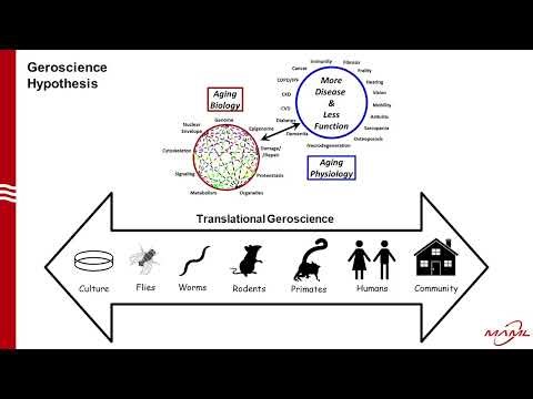 Translational Geroscience: Can rapamycin extend healthy longevity in humans? -Adam R. Konopka, PhD