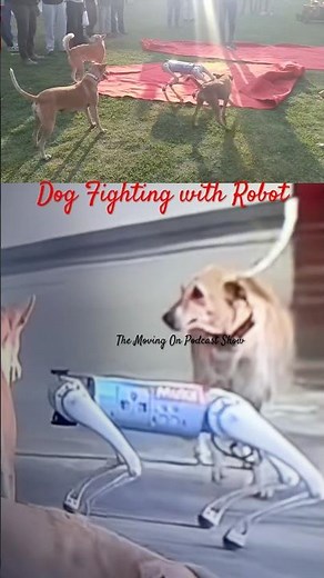 Dogs Fighting with Robot 🤖🦮