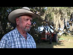 ‘Something I always enjoyed’: Micanopy farmer reflects on Cracker horses and cattle