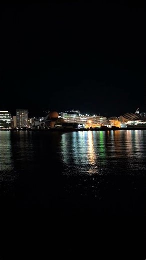世界三大夜景1,000万ドルの夜景と言われます。港町🌃🐥 #長崎夜景