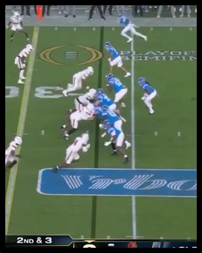 Saturday Down South on Reels