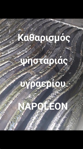 Καθαρισμός ψησταριάς υγραερίου NAPOLEON #viral #napoleon #kebab #chef #fyp #best #professional #reels #quality #cook #gas #recipes #gastronomia #grilled #warranty #athens #meat #food #story #hellas #campingaz #weber #broilking #greece #grill #stainlesssteel #thefoukouproject #vapor #bbq #barbecue | Κυπριακές Ψησταριές - Είδη BBQ "The Foukou Project"