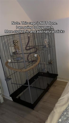 Choosing the Best Diet for Your Caique Parrot