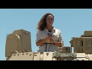 When cicadas attack KSNT reporter