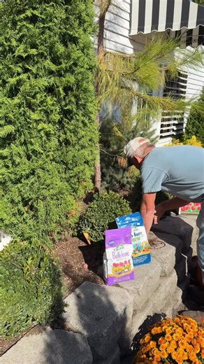 73 reactions · 4 comments | Planting Bulbs!This is the perfect time...