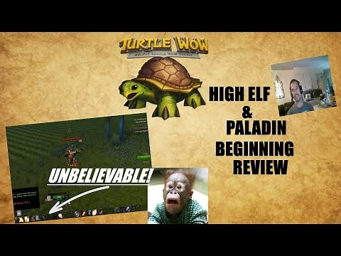 High Elf Paladin A Look At Early Leveling And Abilities - Turtle WoW -