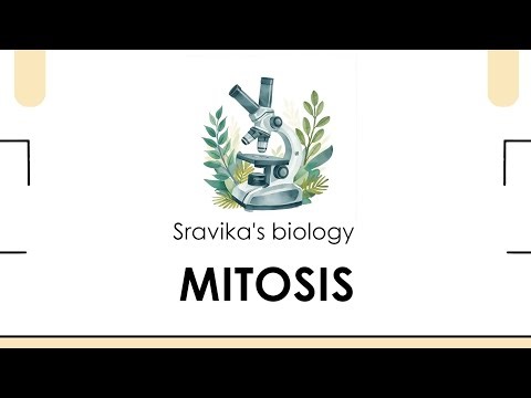 Mitosis Complete Masterclass | CSIR NET & GATE | SRAVIKA'S BIOLOGY| Cell Cycle Explained